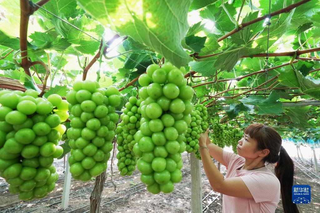 浩博手机登陆